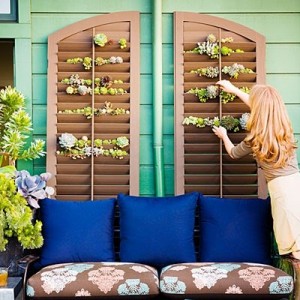 garden trellis made form wooden shutters